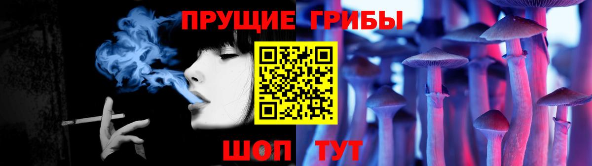 Псилоцибиновые грибы Cubensis  Вход с VPN  Шадринск 